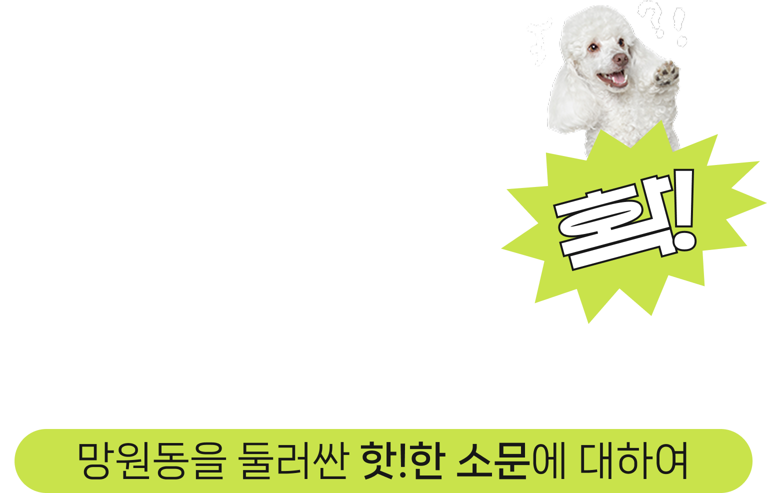 Mang