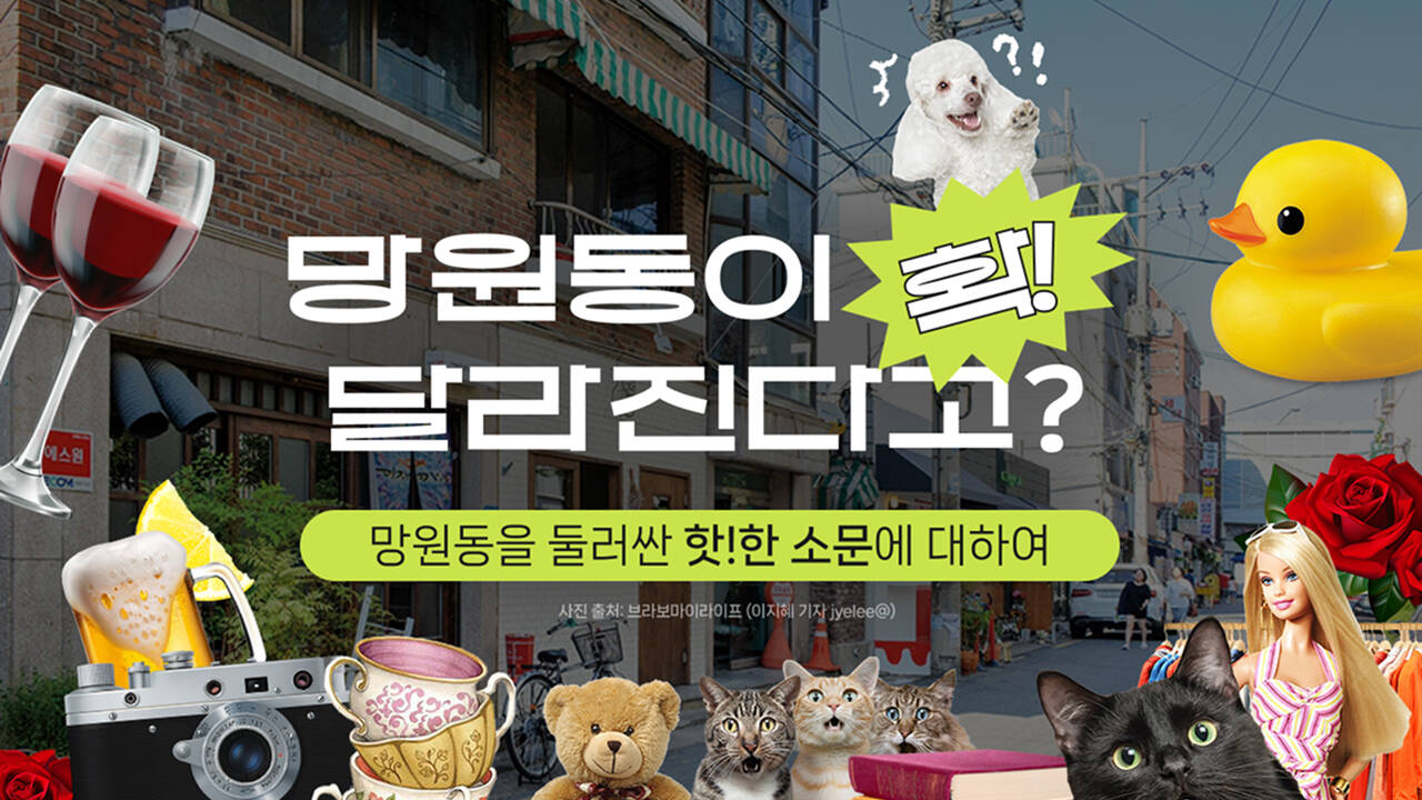 망원동이 확 달라진다고?